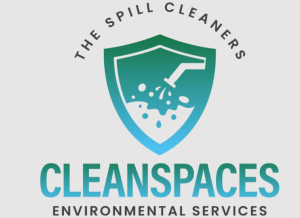 Cleanspaces Environmental Services LLC